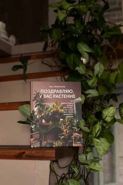 Поздравляю, у вас растение. Ты вырастишь дома джунгли, даже если все твои «бывшие» умерли - фото 8