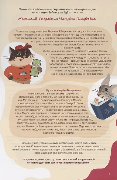 Большой путеводитель на юг от Санкт-Петербурга. Гатчинско-Лужское направление - фото 4