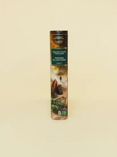 Пикник на обочине. Время выбора - фото 9