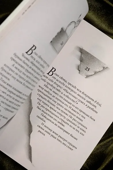 Книга воина света - фото 8