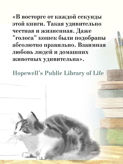 Хроники странствующего кота - фото 9