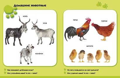 Лето в деревне. Развиваем малыша (1-2 года) - фото 3