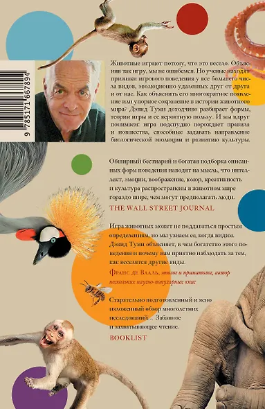 Царство игры - фото 2