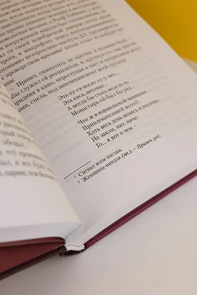 Винляндия - фото 12