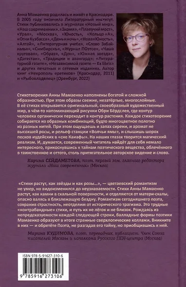 Солнце контрабандистов - фото 2