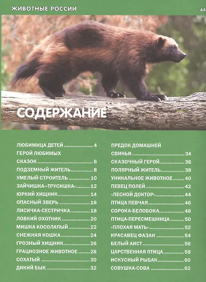 Животные России. Детская энциклопедия - фото 2