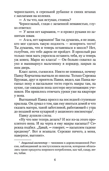 Как закалялась сталь - фото 7