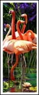 Закладка 3D Flamingos (Листопадова) - фото 1