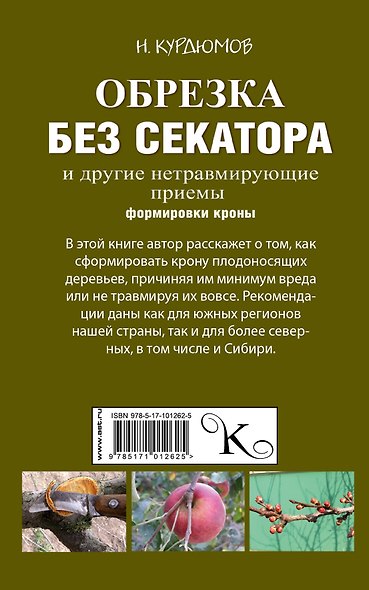 Обрезка без секатора и другие нетравмирующие приемы формировки кроны - фото 2