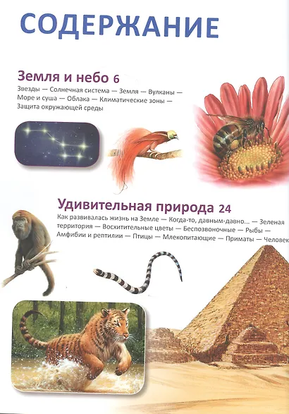 Наш мир. Детская энциклопедия - фото 2