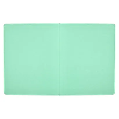 Дневник школьный Феникс+, "Мятный" - фото 3