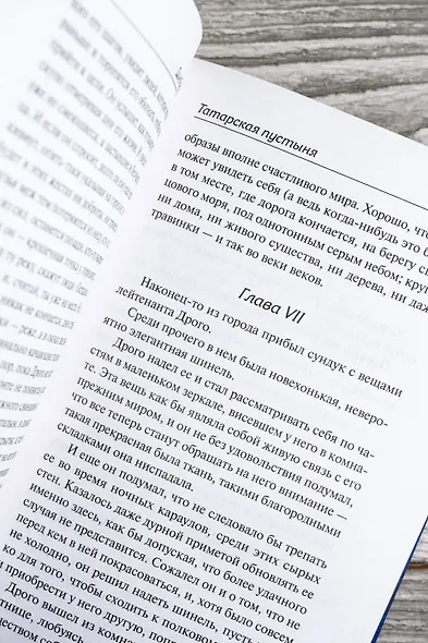 Татарская пустыня. Загадка Старого Леса - фото 12