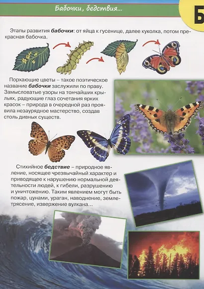 Наша планета  от А до Я - фото 2