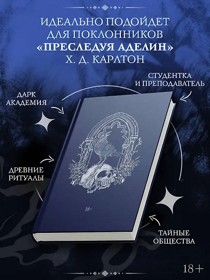 Энигма - фото 2