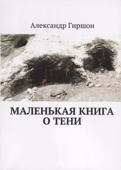 Маленькая книга о тени - фото 1