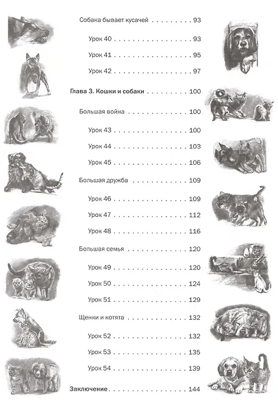 Пошаговые уроки рисования. Рисуем кошек и собак - фото 5