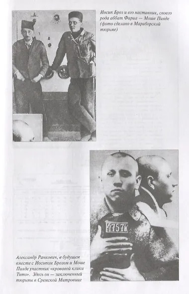 Русские тайны Иосипа Броза Тито. Архивы свидетельствуют - фото 5