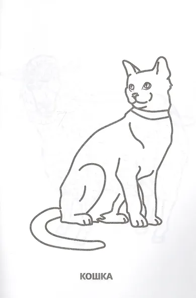 Домашние животные (супер-раскраска раскраска для маленьких, 32 картинки) - фото 4