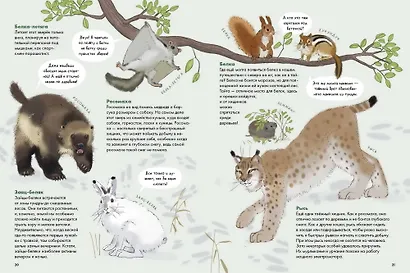 Животные России - фото 6