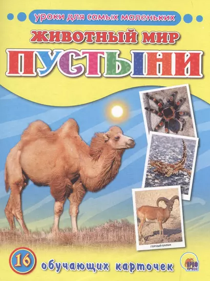 Животный мир. Пустыни - фото 1