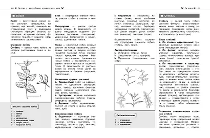 Биология. Наглядный справочник для подготовки к ОГЭ и ЕГЭ - фото 8