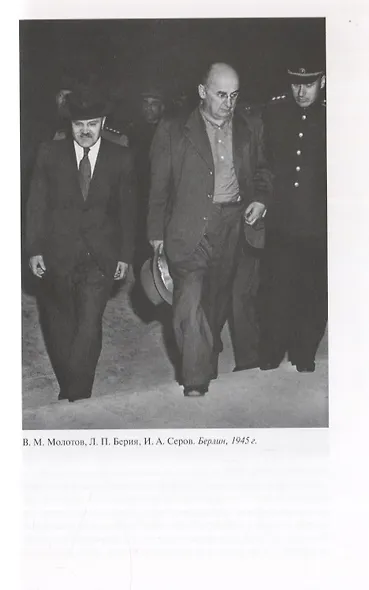Моя семья: Горький и Берия - фото 9