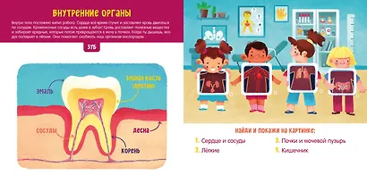 Первые слова малыша. Визуальные словари. Моё тело. Визуальный словарь - фото 3