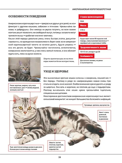 Кошки. Большая визуальная энциклопедия - фото 5