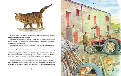 Детям. Рассказы о животных. От автора книги "О всех созданиях - больших и малых" - фото 6