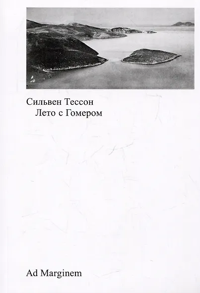 Лето с Гомером - фото 1