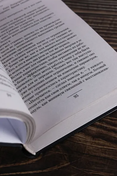 Системщик. Перевертыш - фото 7