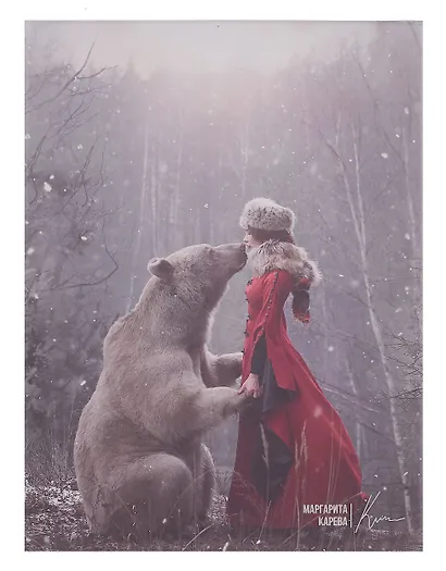 Ежедневник недат. А5 120л "Наппа. Маргарита Карева, медведь" кожзам, мягк. переплет, тисн.фольгой, офсет, справ.мат-лы, ляссе, инд.уп - фото 2