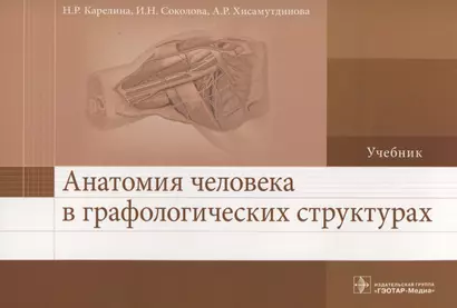 Анатомия человека в графологических структурах. Учебник - фото 1