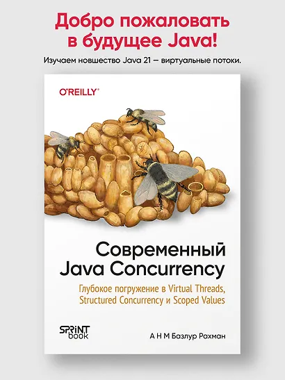 Современный Java Concurrency. Глубокое погружение в Virtual Threads, Structured Concurrency и Scoped Values - фото 3