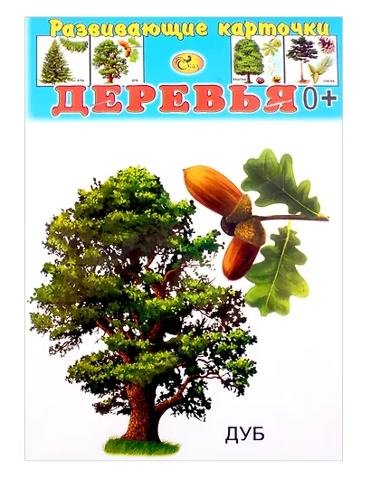 Развивающие карточки Деревья (0+) (13 карточек) - фото 1