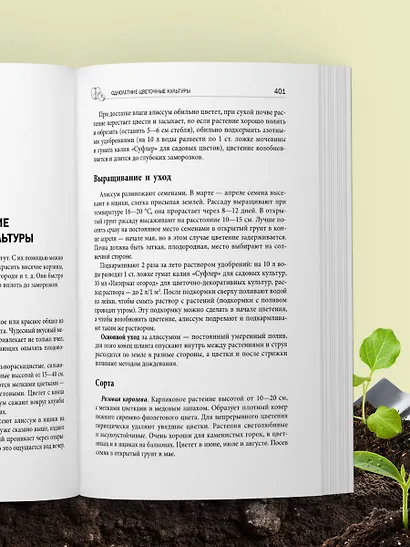 Дачная библия садовода и огородника (новое оформление) - фото 11