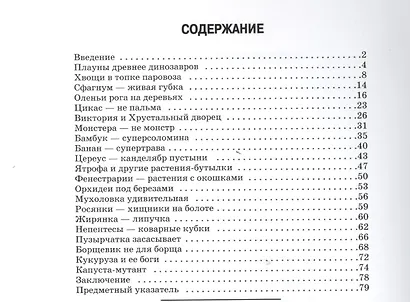 Самые удивительные растения. - фото 2