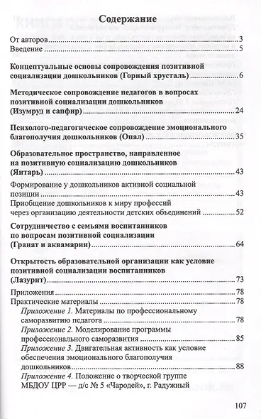 Позитивная социализация: Управленческий и методический аспекты - фото 2