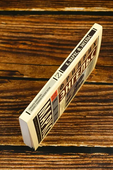 Принципы коммунизма. Манифест коммунистической партии - фото 6