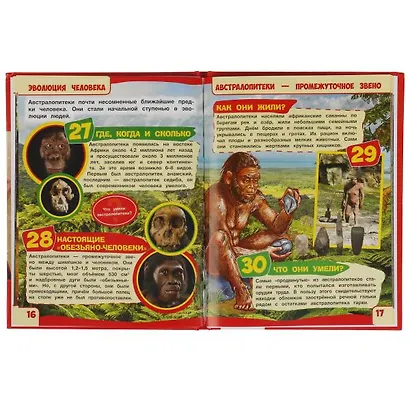 Эволюция человека. 100 фактов - фото 3