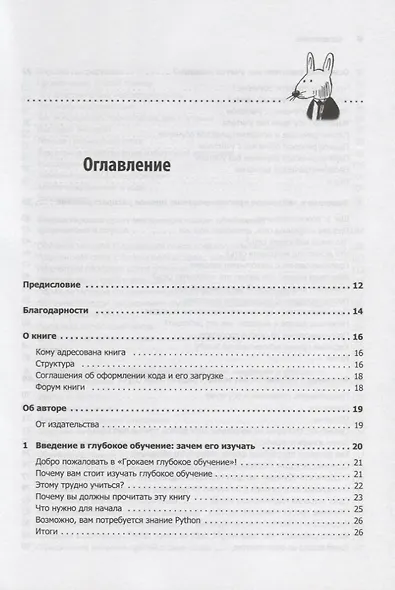 Грокаем глубокое обучение - фото 5