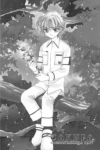 Сакура собирательница карт. Том 8 (Повелительница Карт / Cardcaptor Sakura). Манга - фото 8