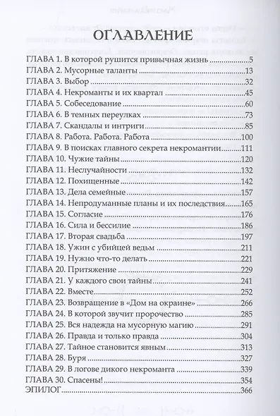 Мусорная магия - фото 2