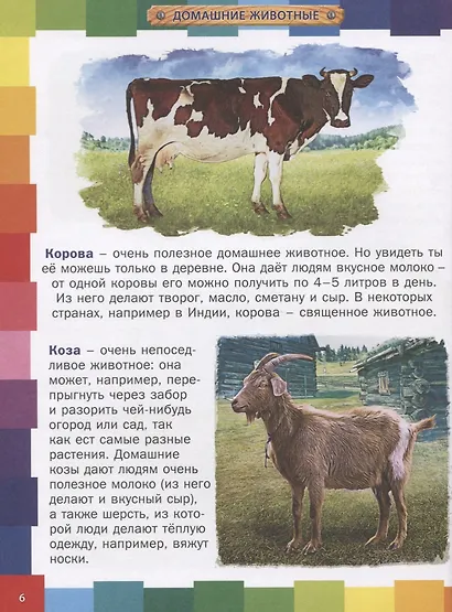 Животные мира.Энциклопедия для самых маленьких - фото 5