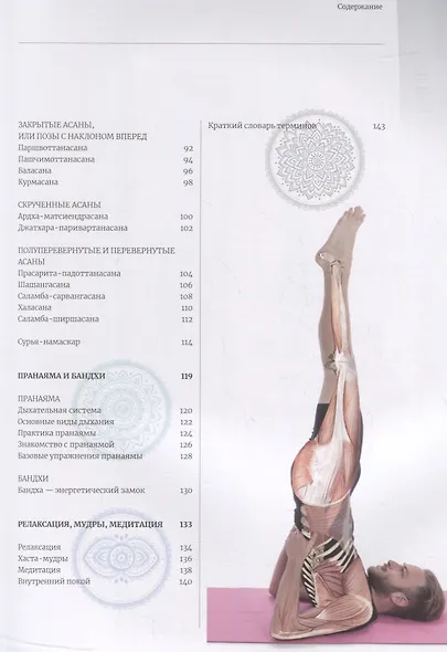 Анатомия и йога - фото 3