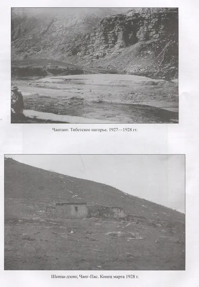 Свет пустыни. С экспедицией Н.К. Рериха по Центральной Азии - фото 5