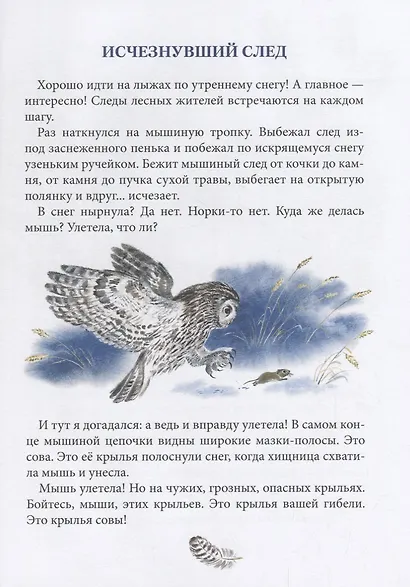 Лесное ожерелье. Рассказы о природе . Илл. Е. Чарушиной-Капустиной - фото 5