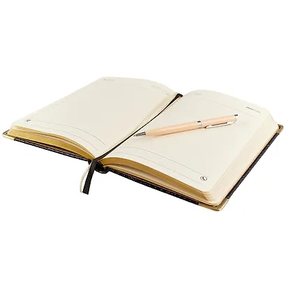 Ежедневник недатированный А5, 152 листа, "Prestige. Iguana", черный - фото 4