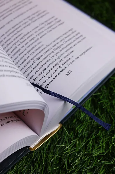 Нолин. Фарилэйн - фото 13