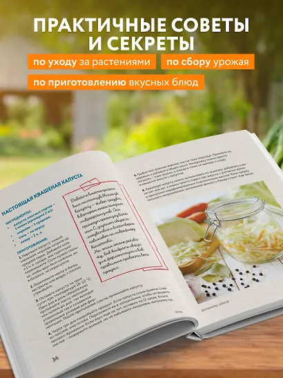 С грядки на стол. Как вырастить сезонные продукты и превратить их в кулинарные шедевры - фото 5